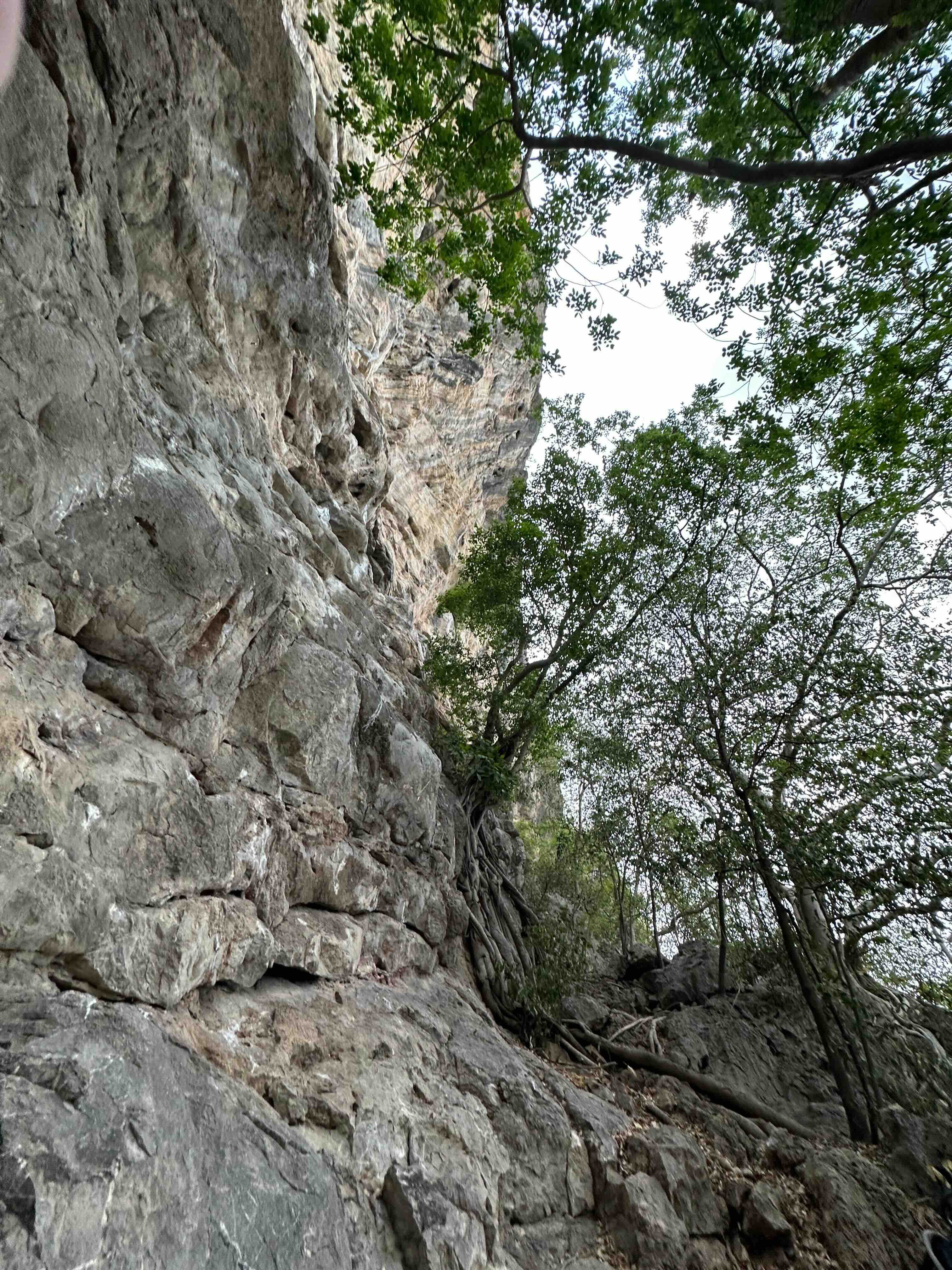 Phetchaburi limestone