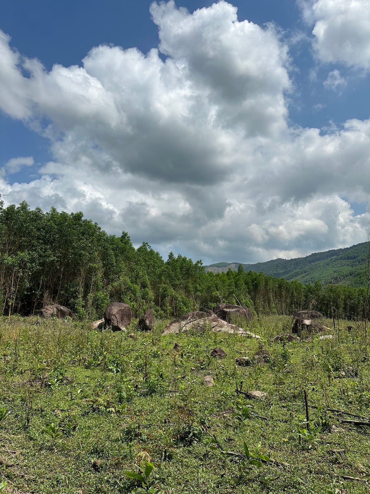 Field of granite boulders below the Ba Na Hills near Da Nang, Vietnam