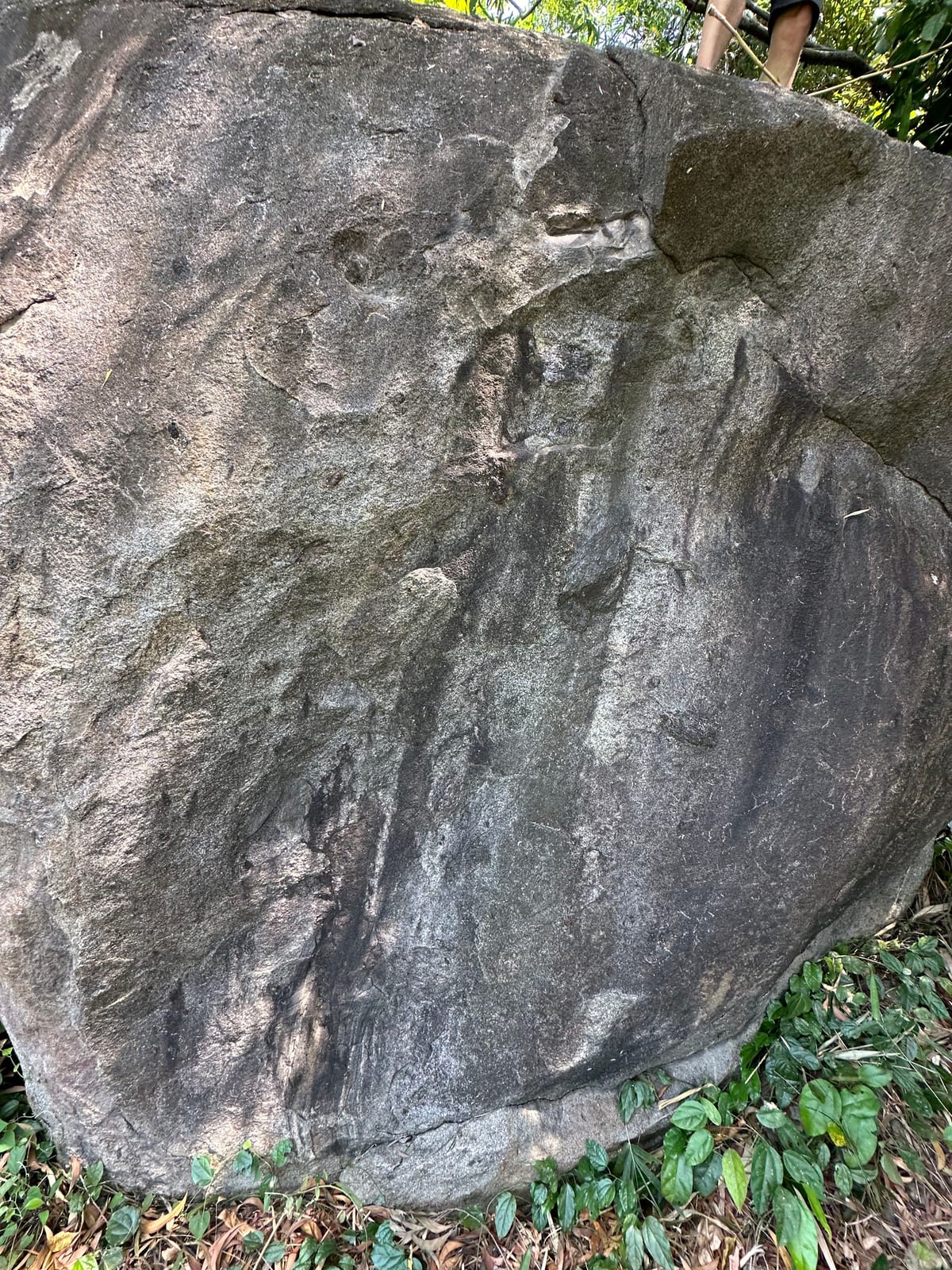Slabby face of the hidden boulder at Bai Xep, Son Tra, Da Nang