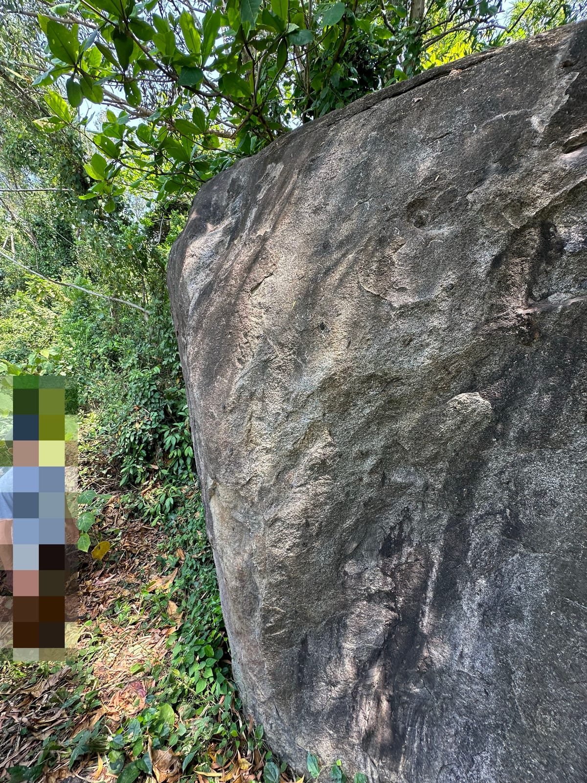 The hidden boulder at Bai Xep, Son Tra, Da Nang