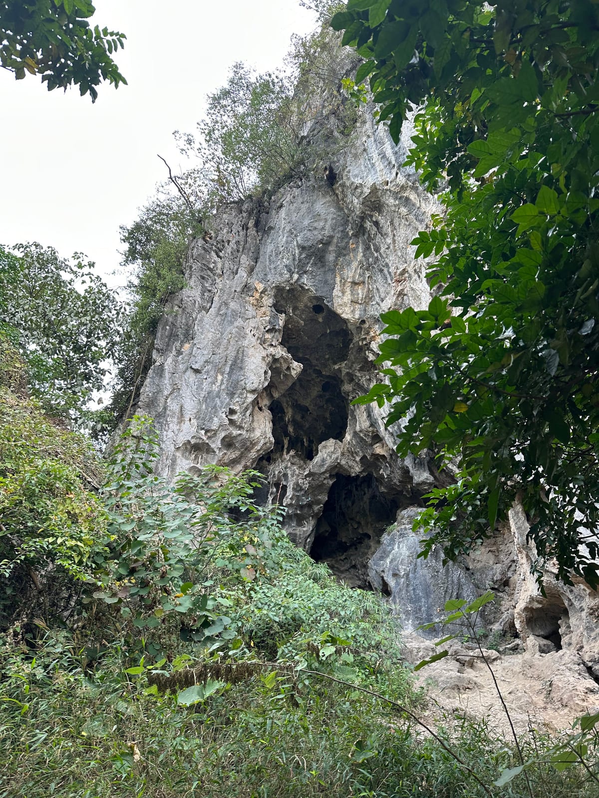 The entrance to Bamboo Cave crag through the trees, Yangshuo, China
