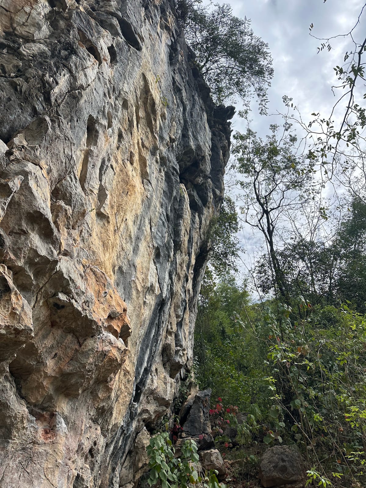 Sport routes and trees at the base of Spearhead crag, Yangshuo