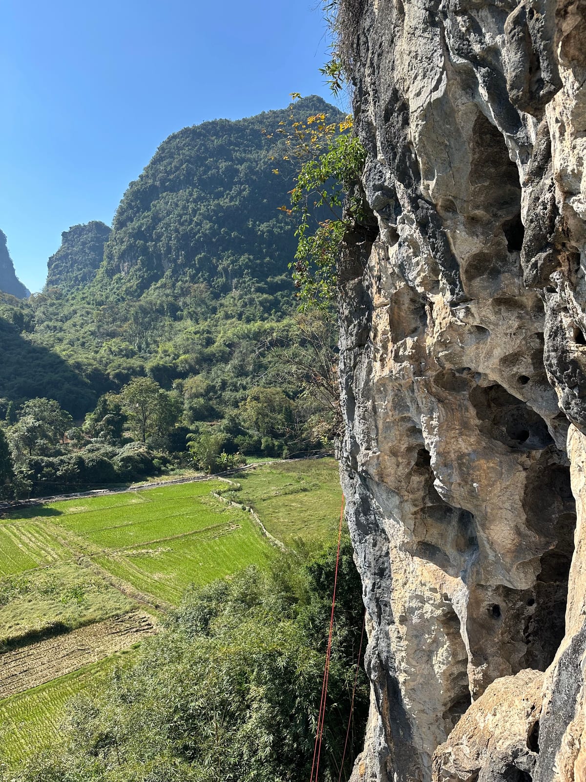 Swiss Wall crag rising over the rice paddies near Yangshuo, Guangxi